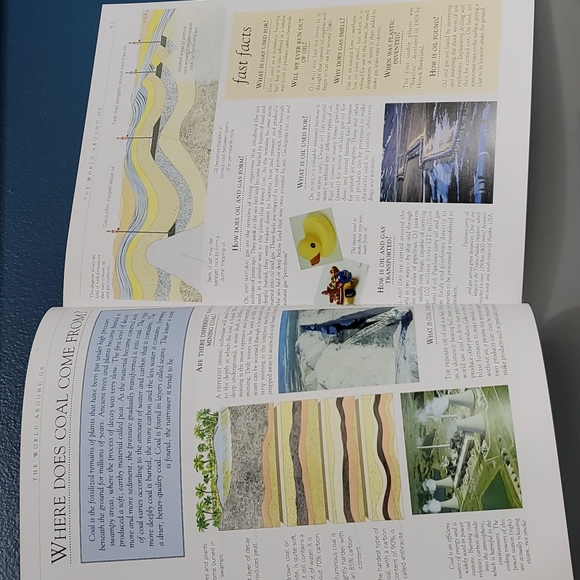 The Big Book Of Questions And Answers 2008 edition - Picture 6 of 15